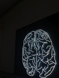 Brains not used are lost